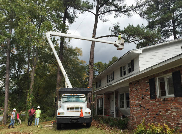 Best Aeration Services  in Berlin, NH