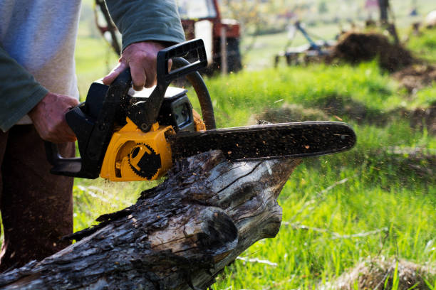 Best Tree Risk Assessment  in Berlin, NH